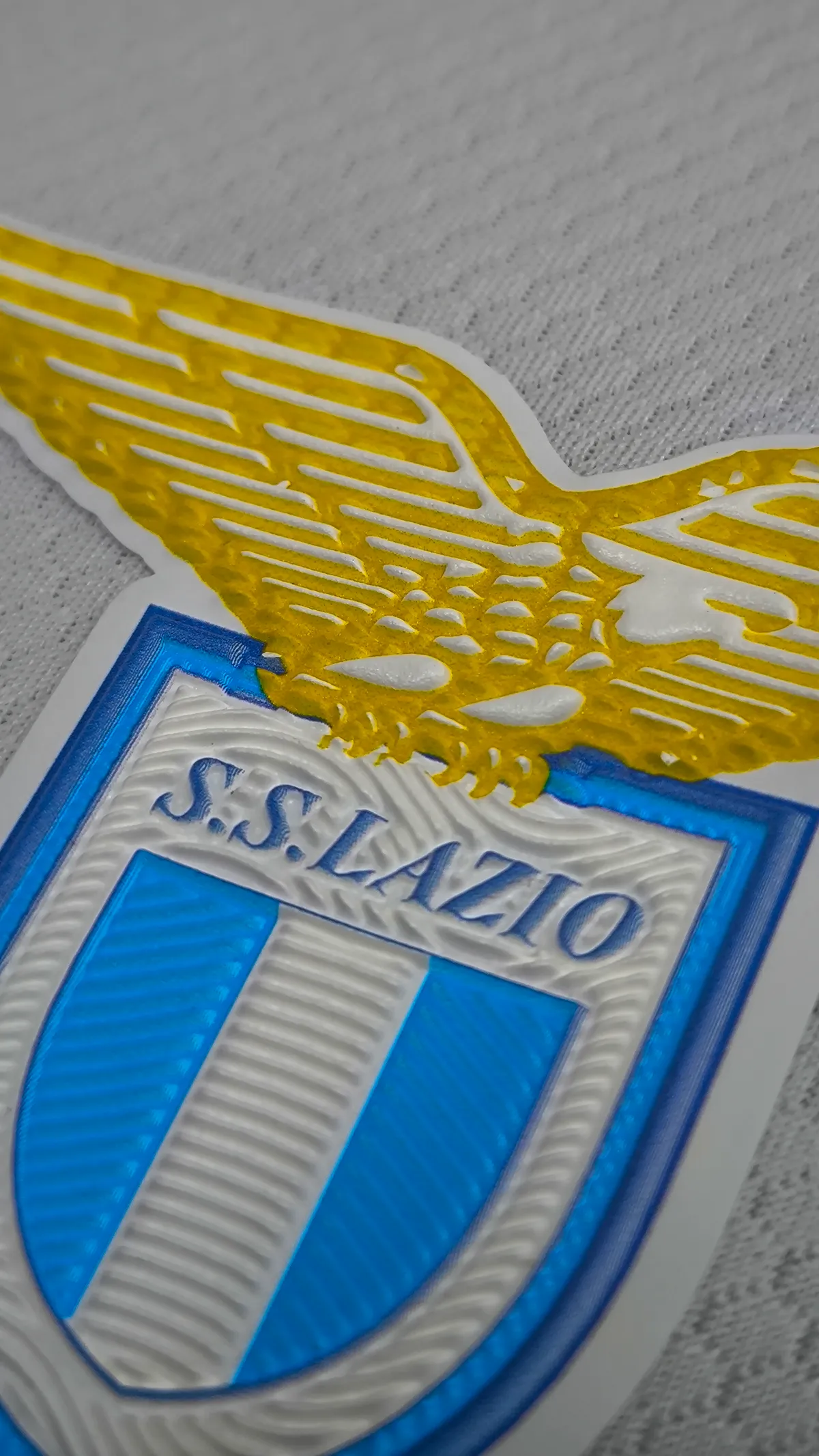 Patch Transfer 2 (25)
